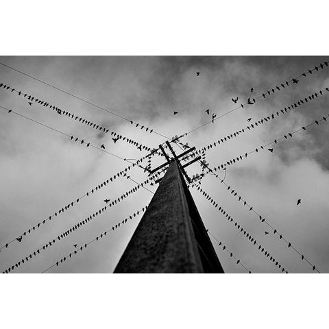 Wired Black Modern Wood Framed Art Print with Double Matting by Caria, Rui