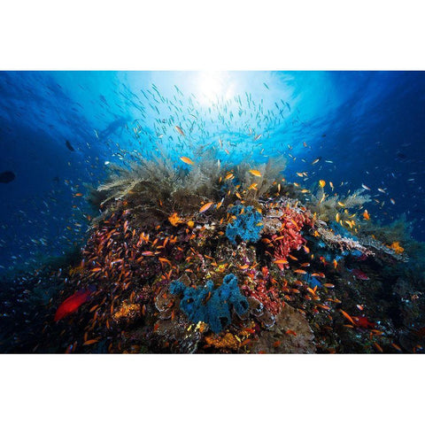 Apnea Black Modern Wood Framed Art Print by Gabriel, Barathieu