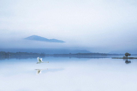 Tranquility White Modern Wood Framed Art Print with Double Matting by O Mahony, Kieran