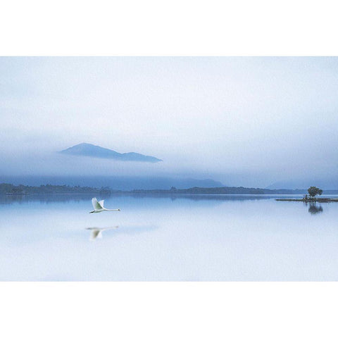 Tranquility White Modern Wood Framed Art Print by O Mahony, Kieran