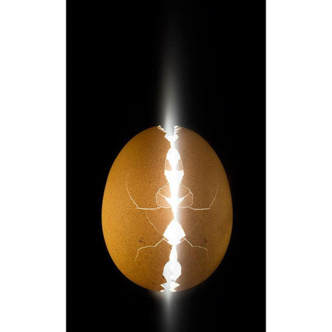 Alien Egg White Modern Wood Framed Art Print by De Kogel, Wieteke