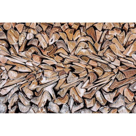 Against The Grain White Modern Wood Framed Art Print by Pearson, Wayne