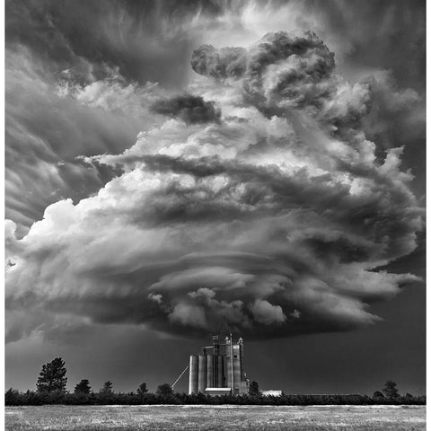 Monochrome Mesocyclone Gold Ornate Wood Framed Art Print with Double Matting by Darby, Rob