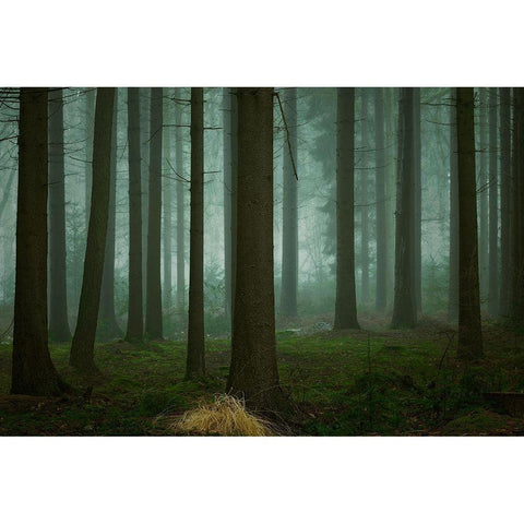 The Cold-Dark Days Of Winter White Modern Wood Framed Art Print by Borggreve, Ellen