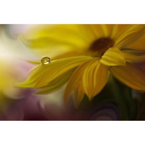 Sunbeam... Black Modern Wood Framed Art Print by Nan, Juliana