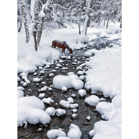 Drinking In Snow Black Modern Wood Framed Art Print with Double Matting by Zhu, Hua