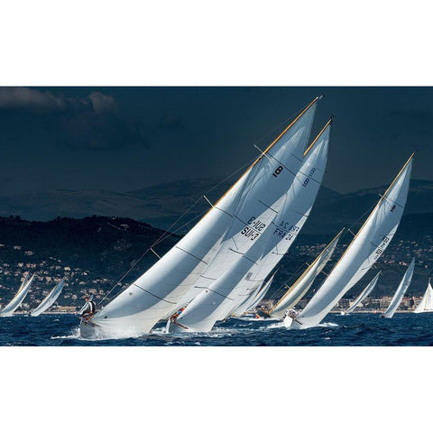 Full Speed Race White Modern Wood Framed Art Print by Pelissier, Marc