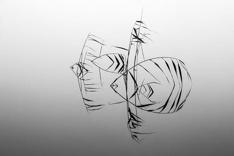 Qangelfishesq Black Ornate Wood Framed Art Print with Double Matting by Wester, Siv