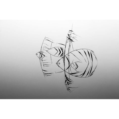 Qangelfishesq Black Modern Wood Framed Art Print with Double Matting by Wester, Siv