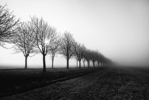 Losing Sight Black Ornate Wood Framed Art Print with Double Matting by Staelens, Christophe