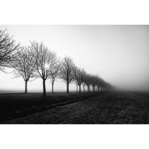 Losing Sight Black Modern Wood Framed Art Print by Staelens, Christophe