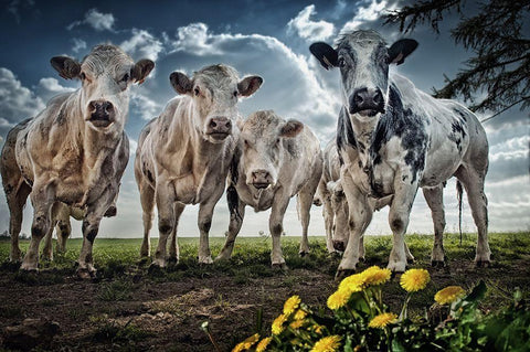 Then I Told Them About Spain Black Ornate Wood Framed Art Print with Double Matting by Flour, Piet