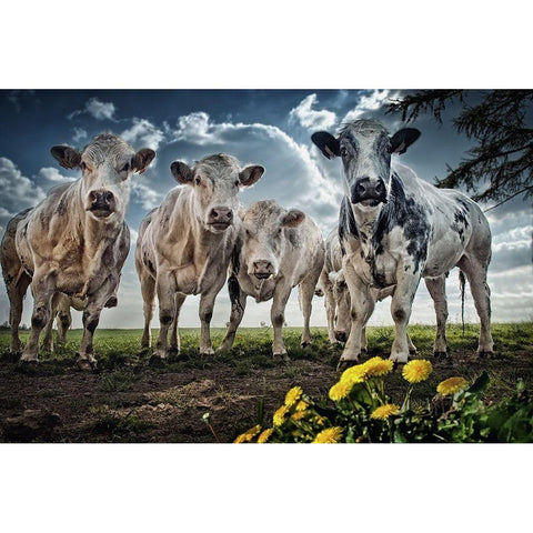 Then I Told Them About Spain Gold Ornate Wood Framed Art Print with Double Matting by Flour, Piet