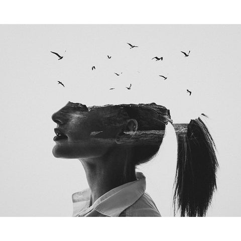 Zephyr White Modern Wood Framed Art Print by Demir, Erkin