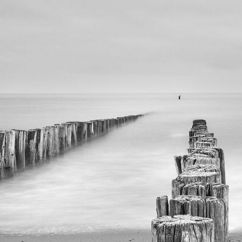 Sea Watcher White Modern Wood Framed Art Print by Degryse, Michelle