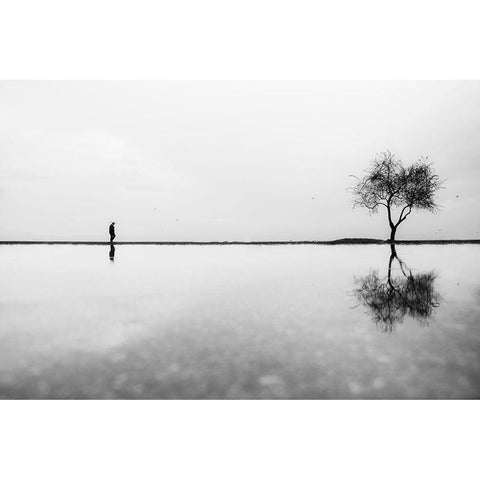 Untitled Black Modern Wood Framed Art Print by Ayer, Ali