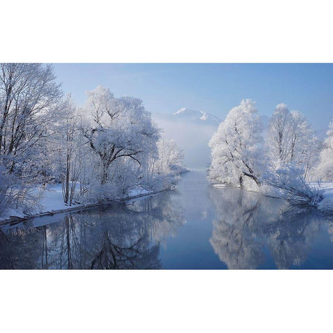 Coldest Morning White Modern Wood Framed Art Print by Maier, Norbert