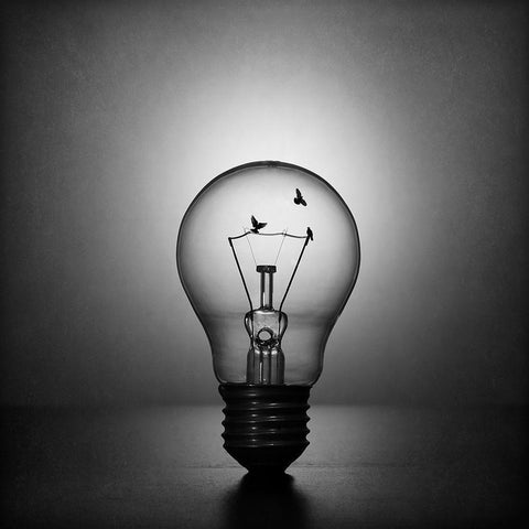 Fly To The Light White Modern Wood Framed Art Print with Double Matting by Ivanova, Victoria