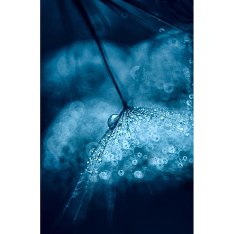 Blue Black Modern Wood Framed Art Print by Blagoeva, Ivelina