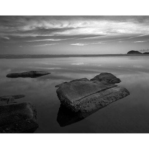 Itaguarac #01 Black Modern Wood Framed Art Print with Double Matting by Sousa Dias, Nana