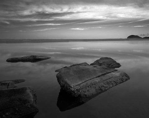 Itaguarac #01 White Modern Wood Framed Art Print with Double Matting by Sousa Dias, Nana