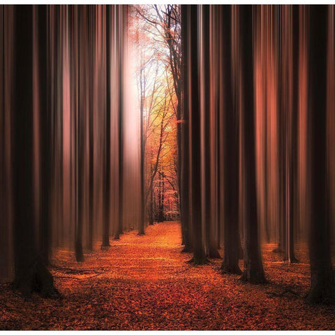 Dont Wake Me Up White Modern Wood Framed Art Print by Lindsten, Christian