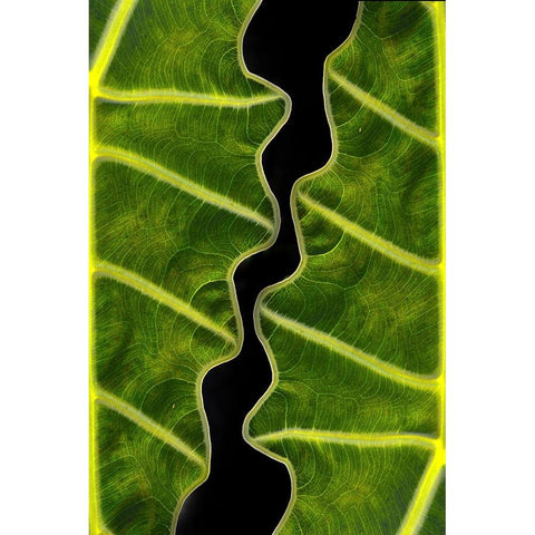 Balance Black Modern Wood Framed Art Print with Double Matting by Memensaputra