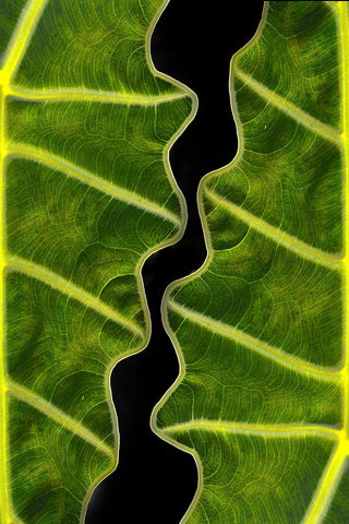 Balance White Modern Wood Framed Art Print with Double Matting by Memensaputra