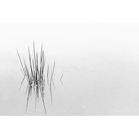Reflections Black Modern Wood Framed Art Print by Azevedo, Olavo