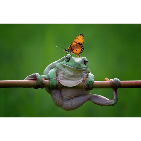 My Best Friend Black Modern Wood Framed Art Print by Pamungkas, Edy