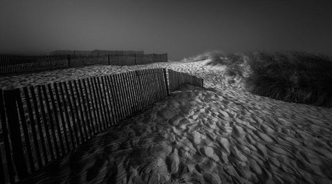 Where Shadows Lie Black Ornate Wood Framed Art Print with Double Matting by Abrantes, Paulo