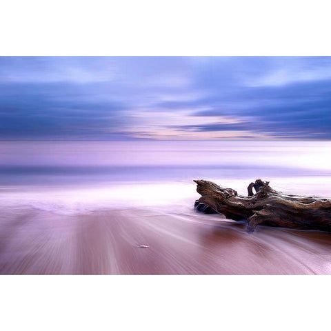 Sea Impressions Gold Ornate Wood Framed Art Print with Double Matting by Markova, Albena