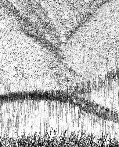 Back From The Dead Black Ornate Wood Framed Art Print with Double Matting by Pearson, Wayne