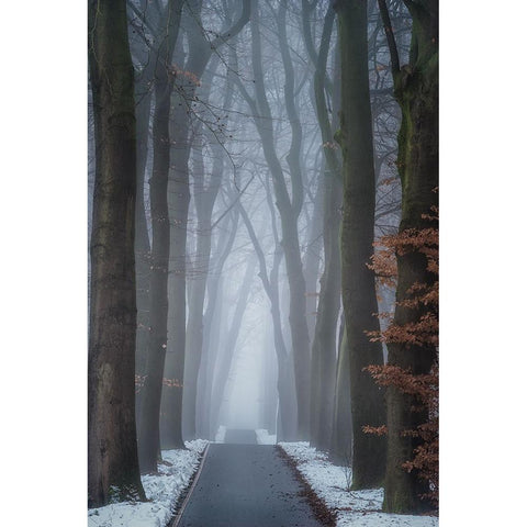 Up And Down Black Modern Wood Framed Art Print with Double Matting by Borggreve, Ellen