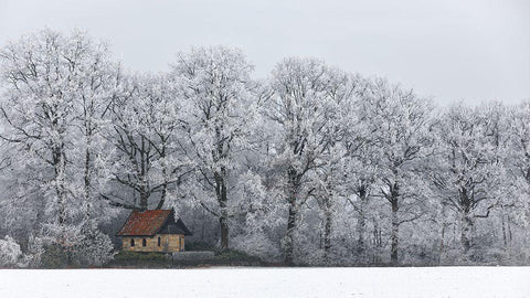 Chapel And Rime White Modern Wood Framed Art Print with Double Matting by Wijn, Frank