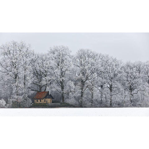 Chapel And Rime White Modern Wood Framed Art Print by Wijn, Frank