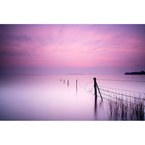 Milky Pink Black Modern Wood Framed Art Print by O Mahony, Kieran