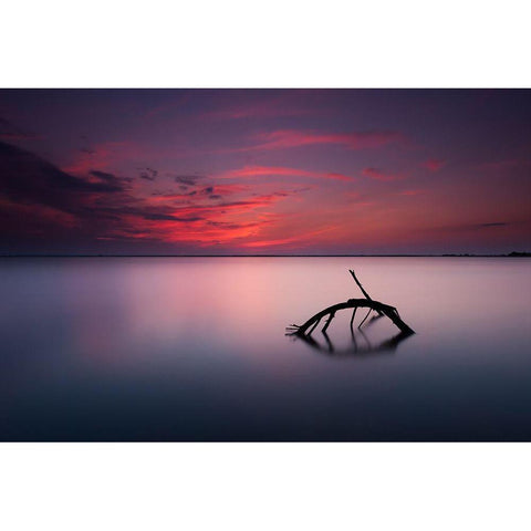 Colors Of Evening White Modern Wood Framed Art Print by Olech, Michal