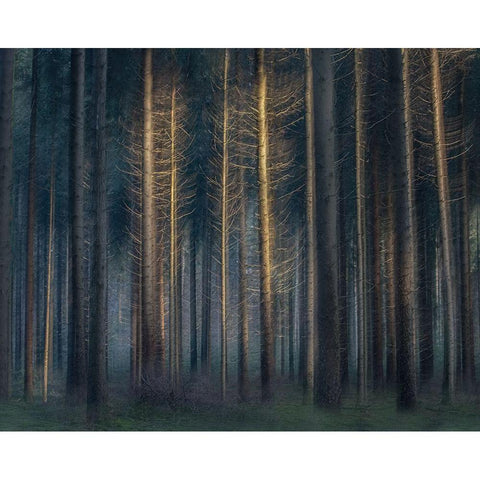 In The Afternoon White Modern Wood Framed Art Print by Talen, Nel
