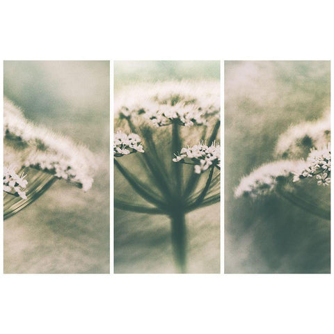 Memories White Modern Wood Framed Art Print by Davidsson, Gustav