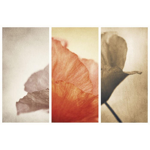 Fading Memories Black Modern Wood Framed Art Print with Double Matting by Davidsson, Gustav