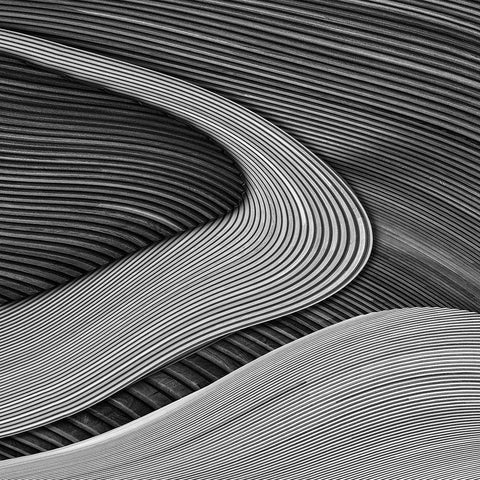 The Wood Project Iii - Zen Garden White Modern Wood Framed Art Print by Vangindertael, Luc