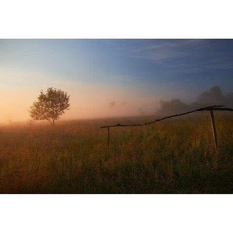 The Summer Field White Modern Wood Framed Art Print by Mierzejewski, Krzysztof