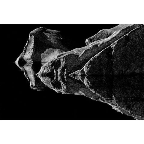 Double Vision Black Modern Wood Framed Art Print with Double Matting by Reames, Richard