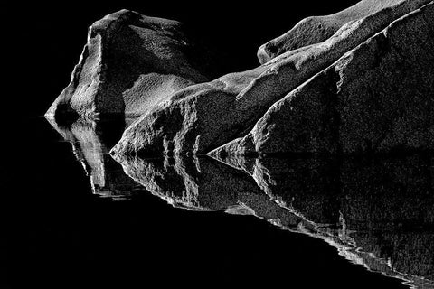 Double Vision White Modern Wood Framed Art Print with Double Matting by Reames, Richard