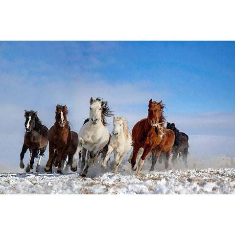 Mongolia Horses Gold Ornate Wood Framed Art Print with Double Matting by Zhang, Libby