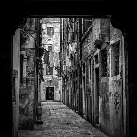 Wash Day 2 White Modern Wood Framed Art Print by Bland, Richard