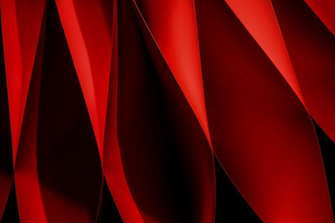 Foramina Black Ornate Wood Framed Art Print with Double Matting by Claes, Gilbert