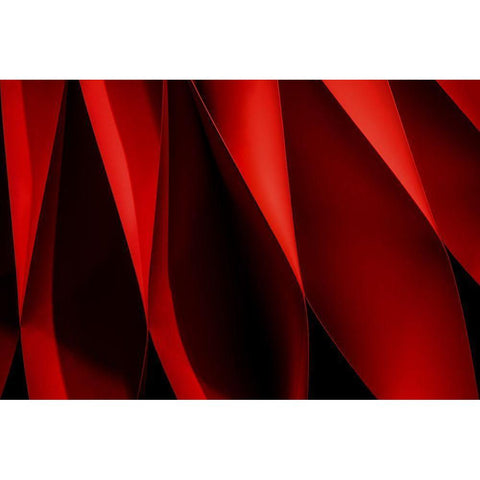 Foramina Black Modern Wood Framed Art Print by Claes, Gilbert