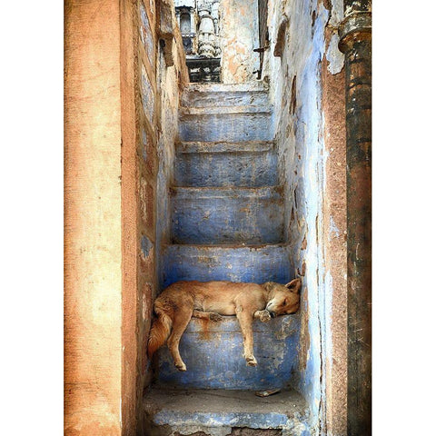 Nap Time Black Modern Wood Framed Art Print with Double Matting by Labagnara, Roxana